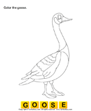Color Goose