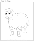 Color the Sheep