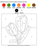 Color the Tulip by Numbers