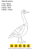 Goose Coloring Pictures
