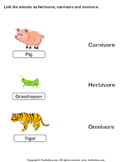 Herbivores Carnivores Omnivores
