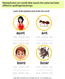 homonyms and homophones worksheets turtle diary