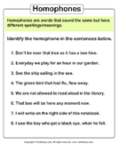 Identify Homophones - homonyms-homophones - Kindergarten