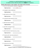 pronoun worksheets turtle diary