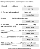 2nd grade homonyms and homophones worksheets turtle diary