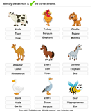 Identify the Farm Animals - animals - Kindergarten