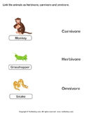 Identify Animals as Herbivore, Carnivore, or Omnivore - food-chain - First Grade