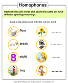 1st grade homonyms and homophones worksheets turtle diary
