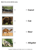 Match Animals to Their Names - animals - Kindergarten
