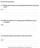Dog Family - Answer the Questions - animals - Second Grade